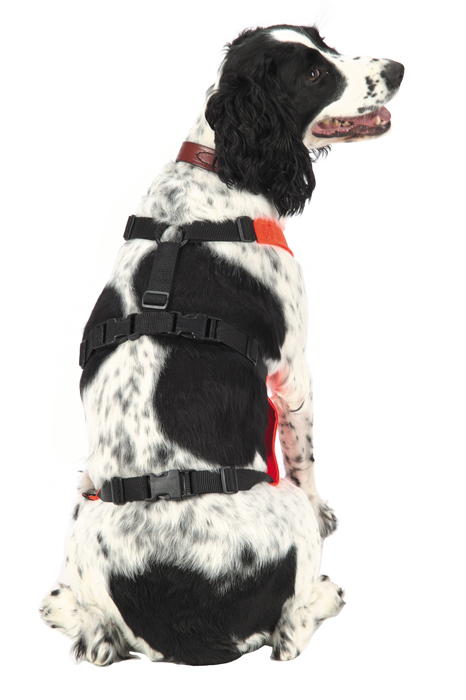 mendota skid plate orange