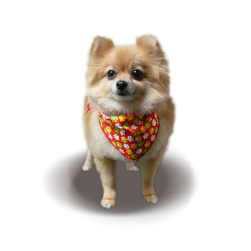 Bandanas Unlimited Triangle Dog Bandana Medium, 20"